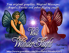 Wonder Flight - where you can adopt Fairies